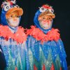Seniorenfasching