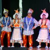 Seniorenfasching