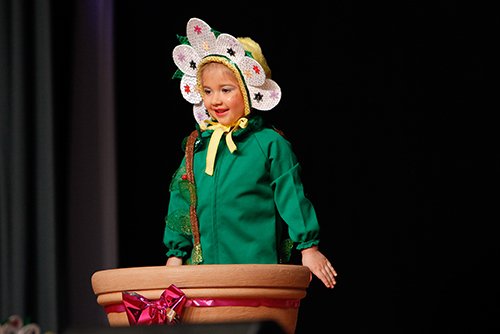 Seniorenfasching