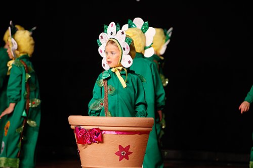Seniorenfasching