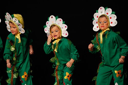 Seniorenfasching
